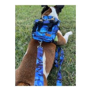 Köpek Sırt Çantası Tasma Seti