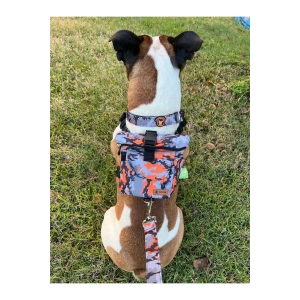 Köpek Sırt Çantası Tasma Seti