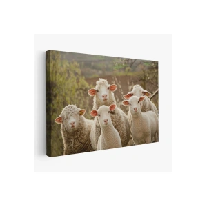 Koyun Kuzu Dekoratif Kanvas Tablo 1119