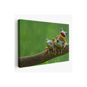 Küçük Kurbağalar Dekoratif Kanvas Tablo 1179