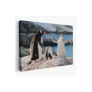 Mutlu Penguenler Dekoratif Kanvas Tablo 1172