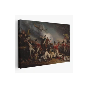 Princeton Savaşında General Mercerin Ölümü Tablo- -6548