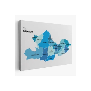 Samsun İli ve İlçeler Haritası  Dekoratif Kanvas Tablo 1447