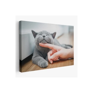 Sevimli Kedi Dekoratif Kanvas Tablo-6505