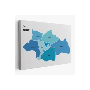 Siirt İli ve İlçeler Haritası  Dekoratif Kanvas Tablo 1450