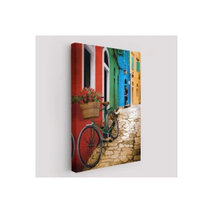 Sokaktaki Çiçekli Bisiklet Duvar Tablosu-6453