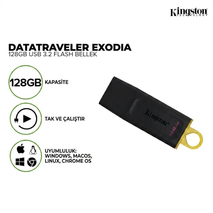 Kingston Exodia USB 3.2 Gen1 DTX/128GB 128 GB Flash Bellek