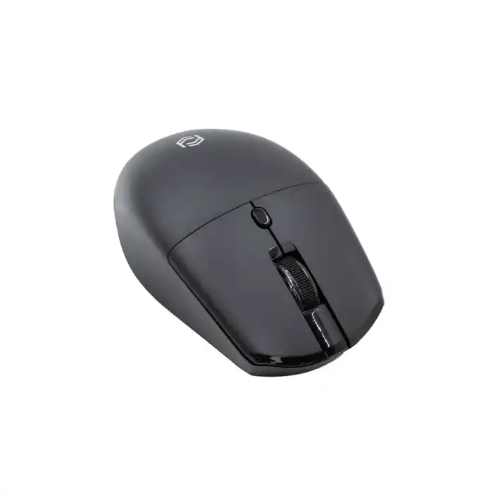 FRISBY FM-284WM Kablosuz siyah Mouse