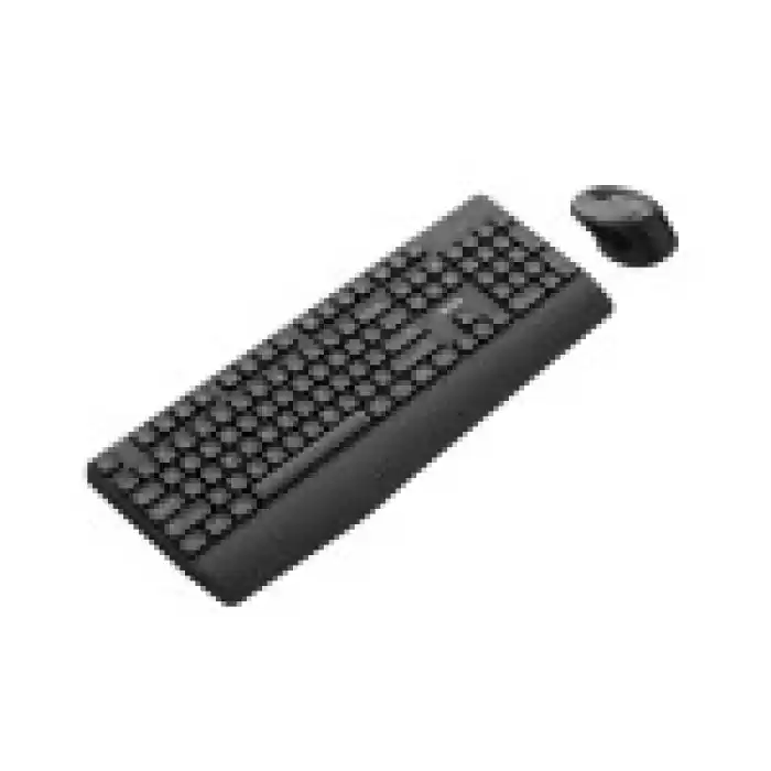 PHILIPS SPT6348B Q Türkçe Kablosuz Siyah Klavye+ Mouse