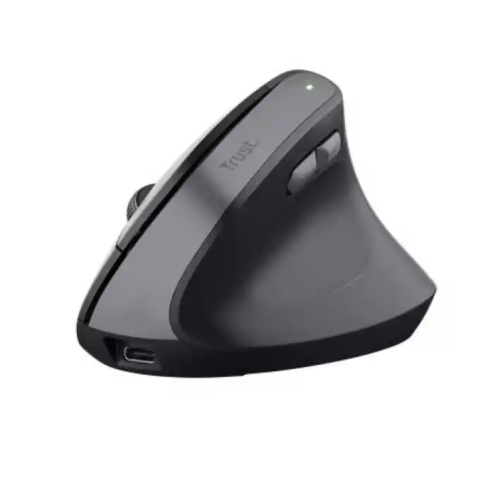 Trust TM-270 Ergonomik Kablosuz Mouse - Siyah