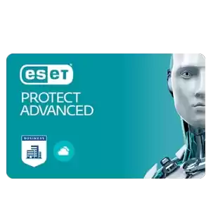 ESET PROTECT ADVANCED 1+10 Client 3 Yıl