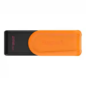 KINGSTON 256GB USB3.2 Gen 1 DataTraveler Exodia USB Bellek(Siyah-Turuncu)