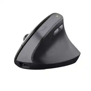 Trust TM-270 Ergonomik Kablosuz Mouse - Siyah