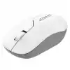 EVEREST SMW-973 USB Kablosuz 2.4Ghz Beyaz/Gri Mouse