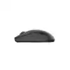 PHILIPS KABLOSUZ  MOUSE SPK7347 SİYAH