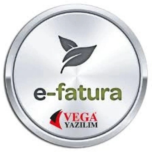 E-Fatura Yıllık Güncelleme Bedeli