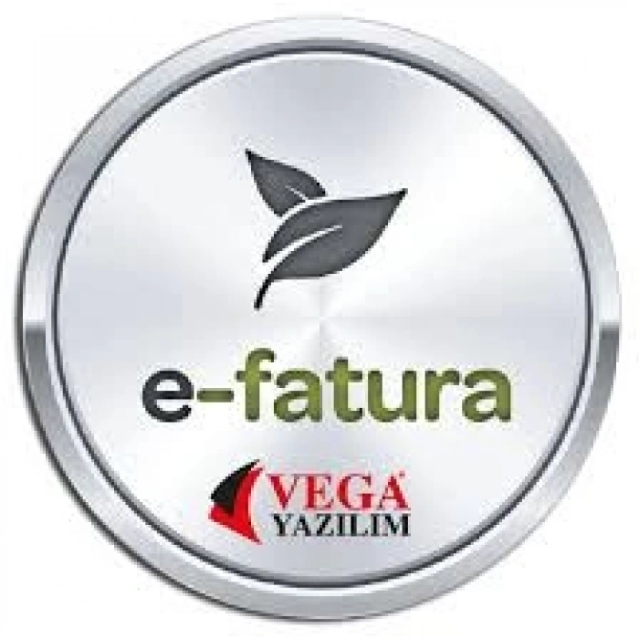 E-Fatura Yıllık Güncelleme Bedeli