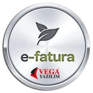 E-Fatura Yıllık Güncelleme Bedeli