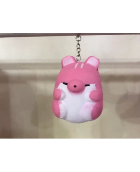 KARIŞIK SQUISHY