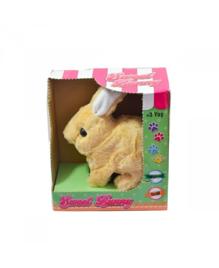 PİLLİ TAVŞAN PELUŞ