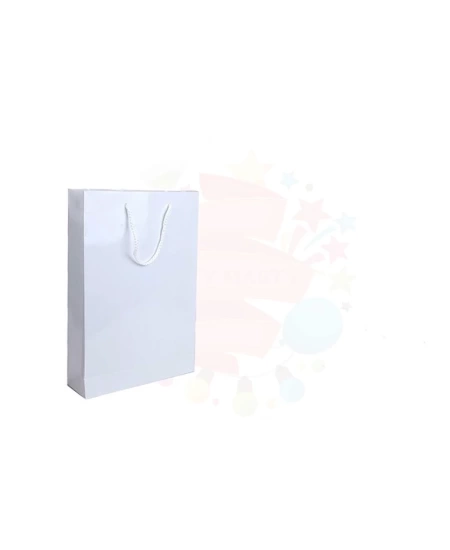 KARTON ÇANTA SELOFANLI 26*38 BEYAZ 25Lİ