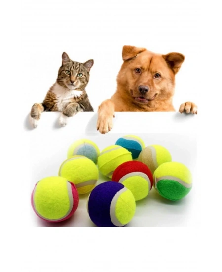 TENİS - KÖPEK TOPU
