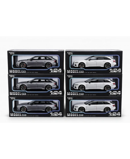 1/24 AUDI RS6