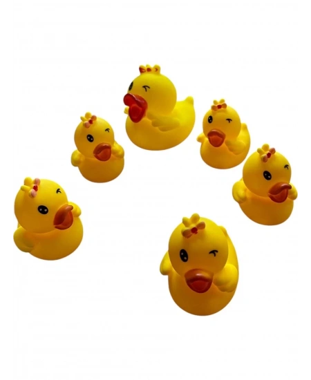 6LI ÖRDEK