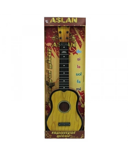 ASLN BÜYÜK GİTAR