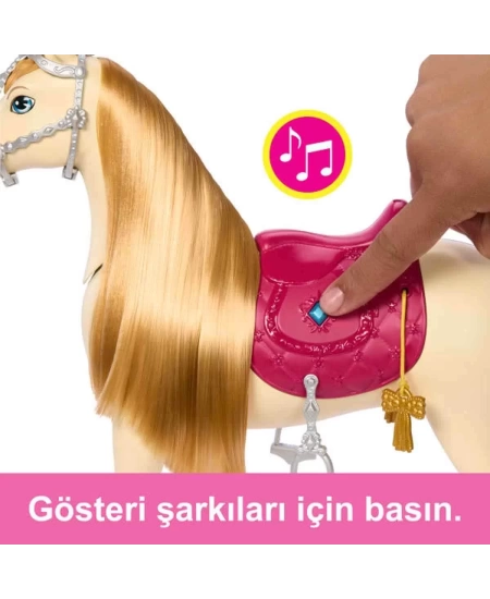 BARBİE DANS VE GÖSTERİ ATI DHL