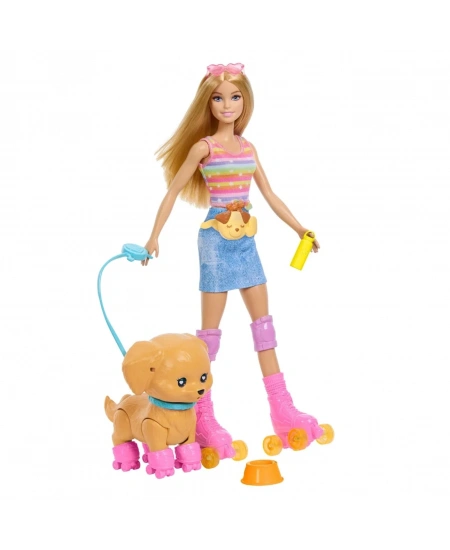 BARBIE PATEN ARKADAŞIM OYUN SETİ DHL