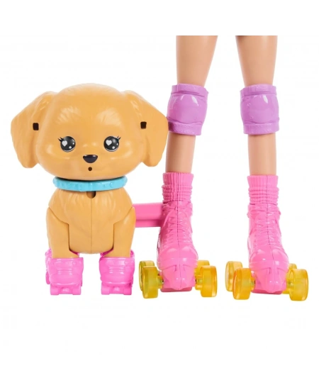 BARBIE PATEN ARKADAŞIM OYUN SETİ DHL