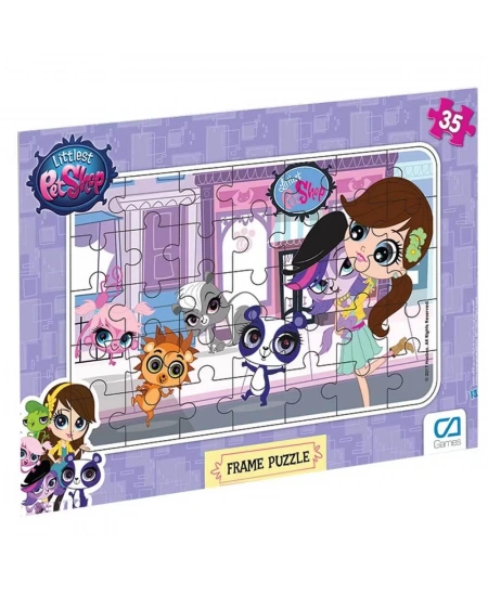 CA FRAME PUZZLE