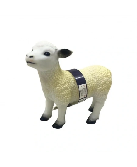 ÇİFTLİK HAYVANLARI