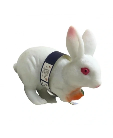 ÇİFTLİK HAYVANLARI