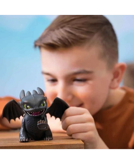 DRAGONS DREAMWORKS MİNİ İNTERAKTİF EJDERHA DHL