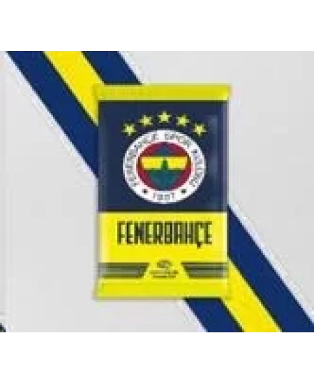 FENERBAHÇE GO 2024/25