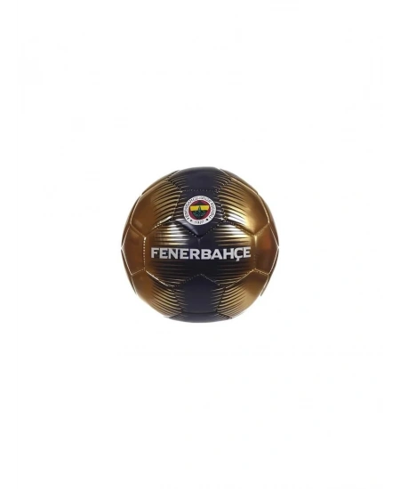 FENERBAHÇE HENTBOL TOPU