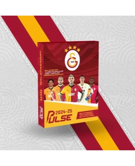 GALATASARAY PULSE 12 KART 2024/25