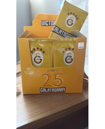 GALATASARAY VICTORY