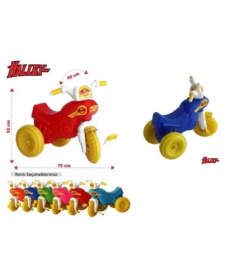 HALLEY MOTOR