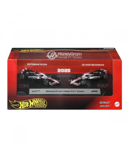 HOT WHEELS 2Lİ FORMULA 1 YARIŞ ARABA SETİ DHL