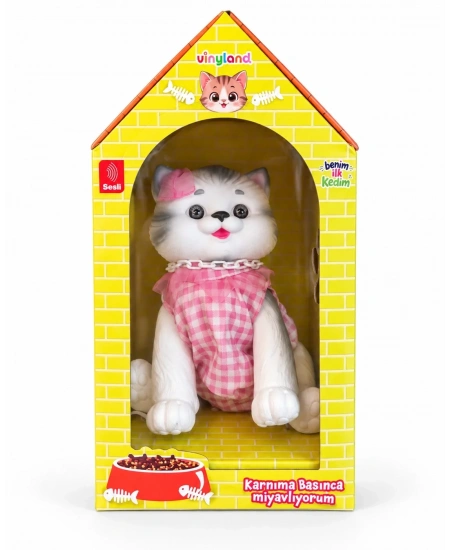 KUTUDA KEDİ SESLİ