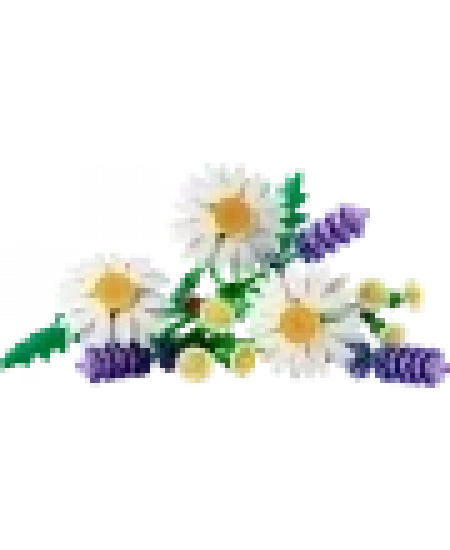 LEGO BOTANİCALS PAPATYALAR DHL (NET)