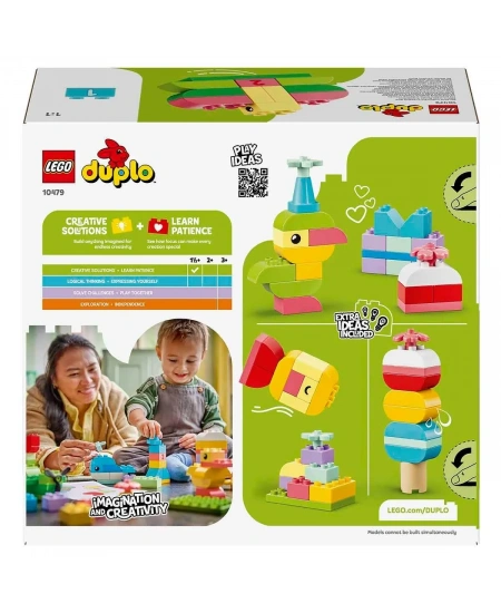 LEGO DUPLO CLASSİC RENKLİ YARATICI KUTU DHL (NET)