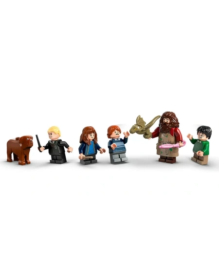 LEGO HAGRIDS HUT UNEXPACTED VISIT DHL