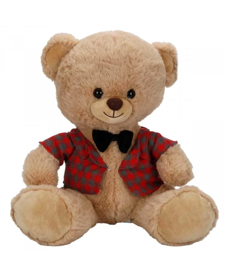 PELUŞ AYI ELBİSELİ 32CM