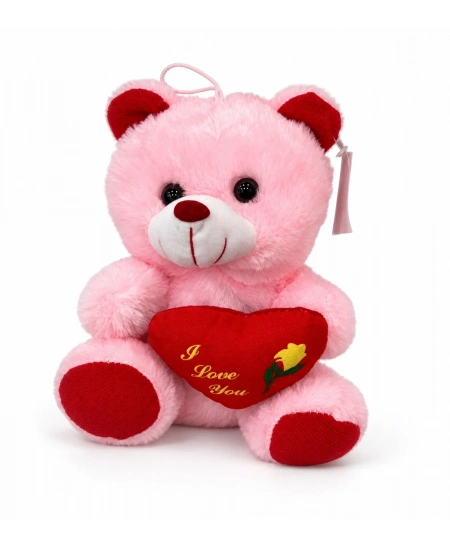 PELUŞ RENKLİ AYICIK 20CM