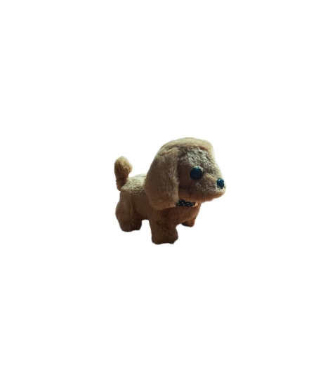 PİLLİ YÜRÜYEN KÖPEK