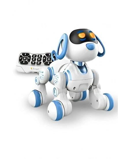 UZAKTAN KUMANDALI DANS EDEBİLEN ROBOT KÖPEK